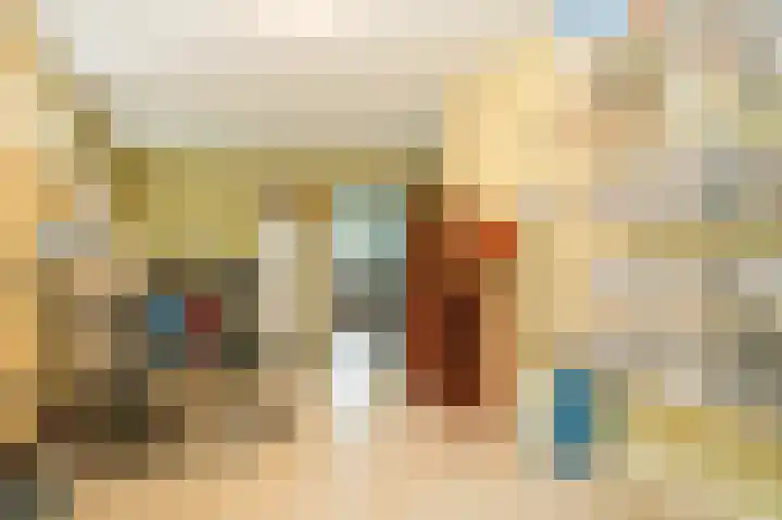 Donksewaard 3 Wijk en Aalburg thumbnail 17