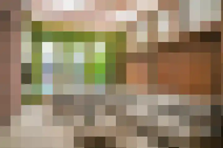 Donksewaard 3 Wijk en Aalburg thumbnail 34