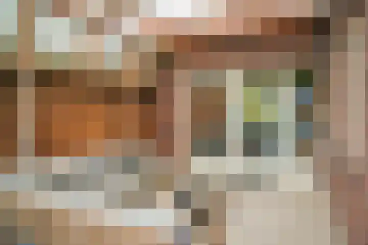 Donksewaard 3 Wijk en Aalburg thumbnail 35