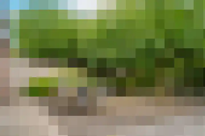 Donksewaard 3 Wijk en Aalburg thumbnail 36