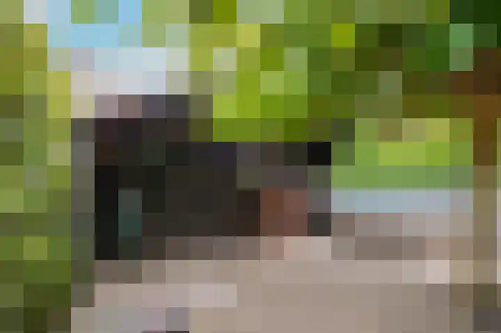 Donksewaard 3 Wijk en Aalburg thumbnail 38