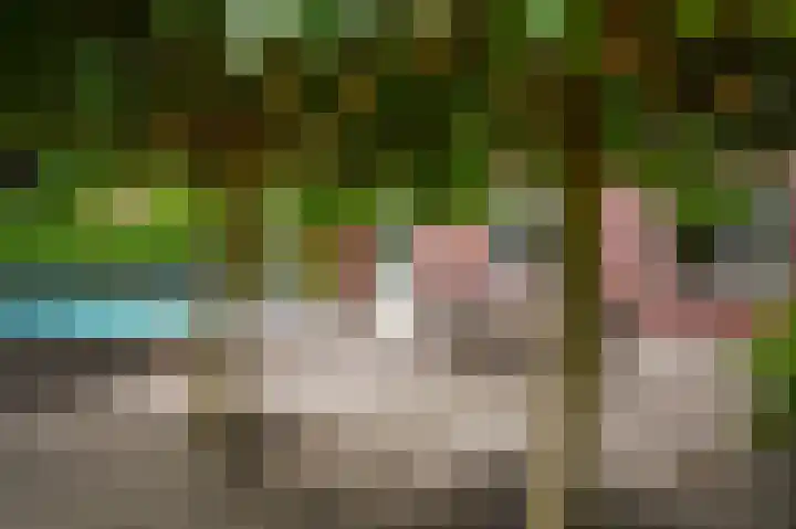 Donksewaard 3 Wijk en Aalburg thumbnail 39