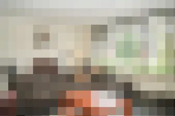Donksewaard 3 Wijk en Aalburg thumbnail 4