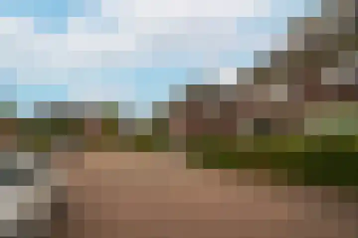 Donksewaard 3 Wijk en Aalburg thumbnail 42