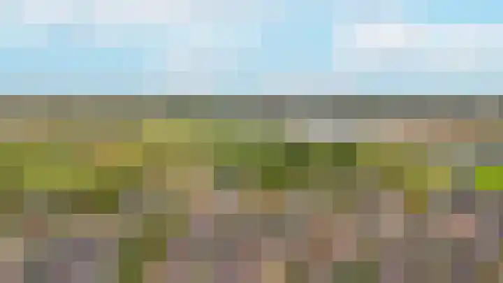 Donksewaard 3 Wijk en Aalburg thumbnail 45