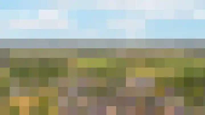 Donksewaard 3 Wijk en Aalburg thumbnail 46