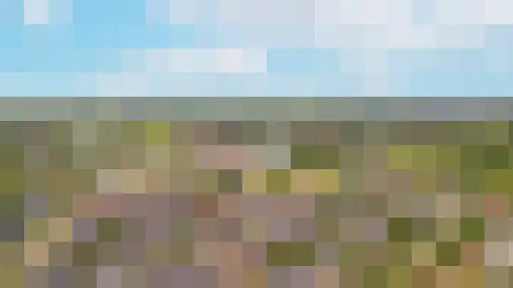 Donksewaard 3 Wijk en Aalburg thumbnail 47