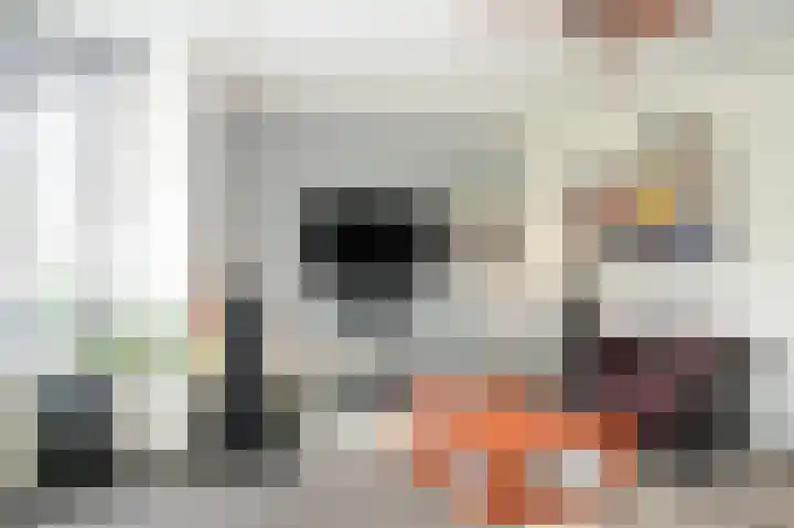 Donksewaard 3 Wijk en Aalburg thumbnail 5