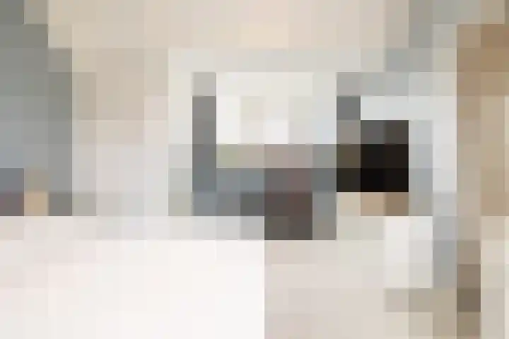 Donkslagen 1 Breda thumbnail 31