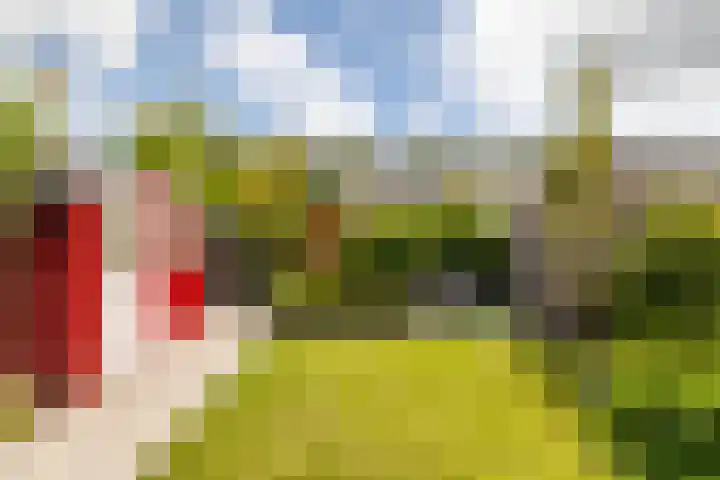 Donkslagen 1 Breda thumbnail 33