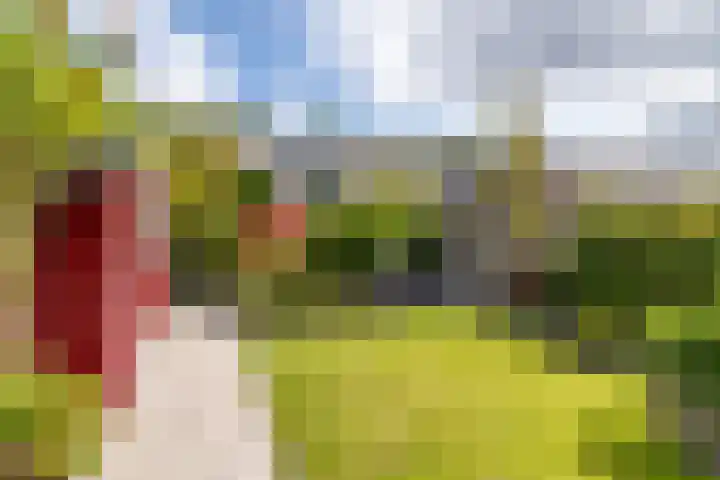 Donkslagen 1 Breda thumbnail 34