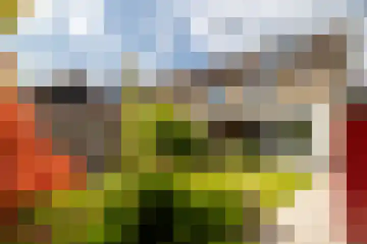 Donkslagen 1 Breda thumbnail 36