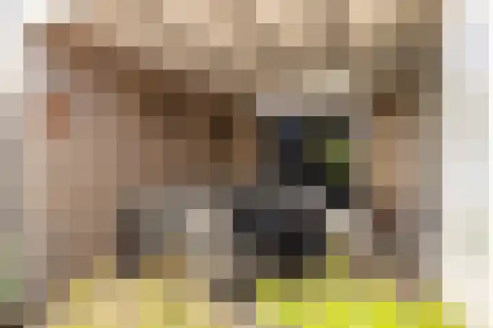Donkslagen 1 Breda thumbnail 38