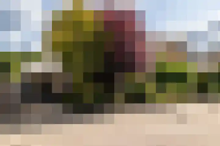Donkslagen 1 Breda thumbnail 40
