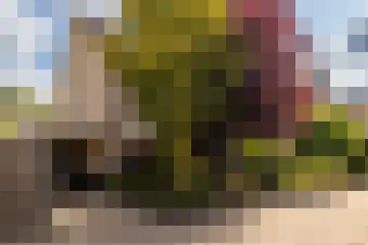 Donkslagen 1 Breda thumbnail 43