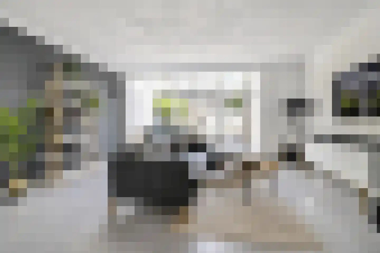 Donkslagen 19 Breda thumbnail 5