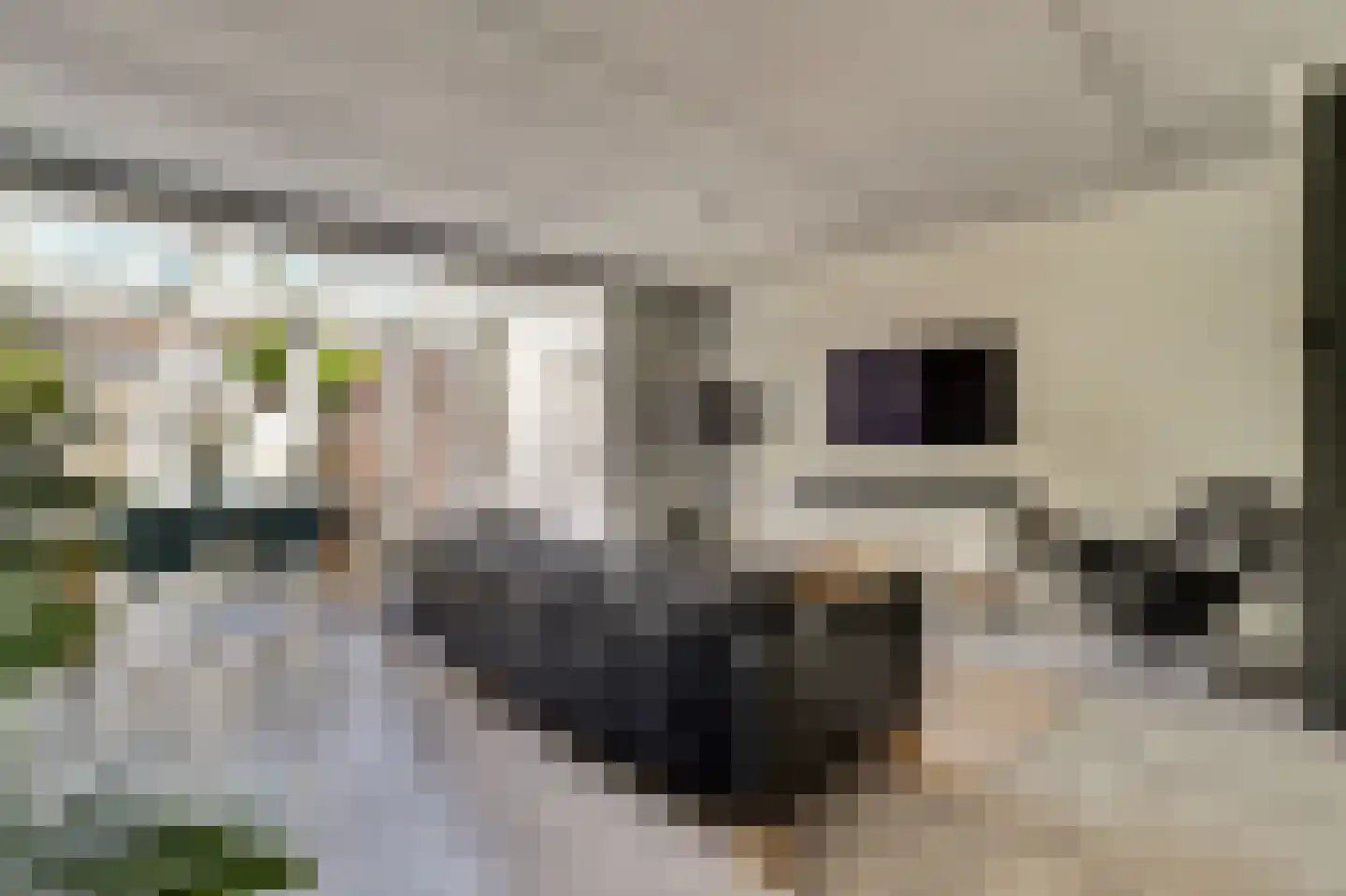 Donkslagen 19 Breda thumbnail 7