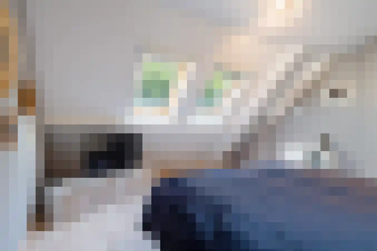 Donkslagen 49 Breda thumbnail 34
