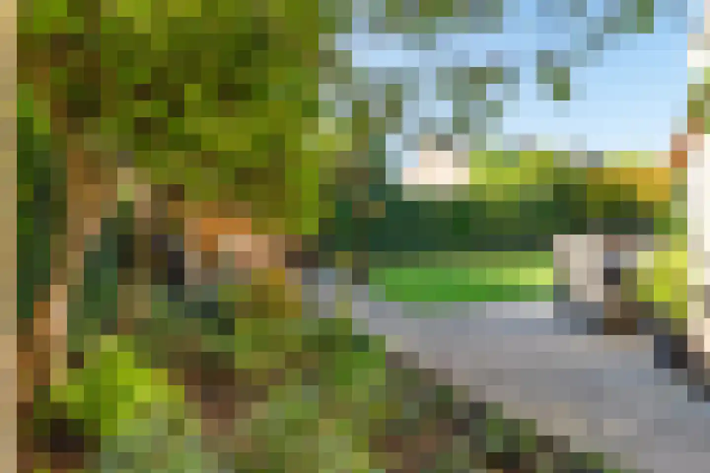 Donkslagen 49 Breda thumbnail 53