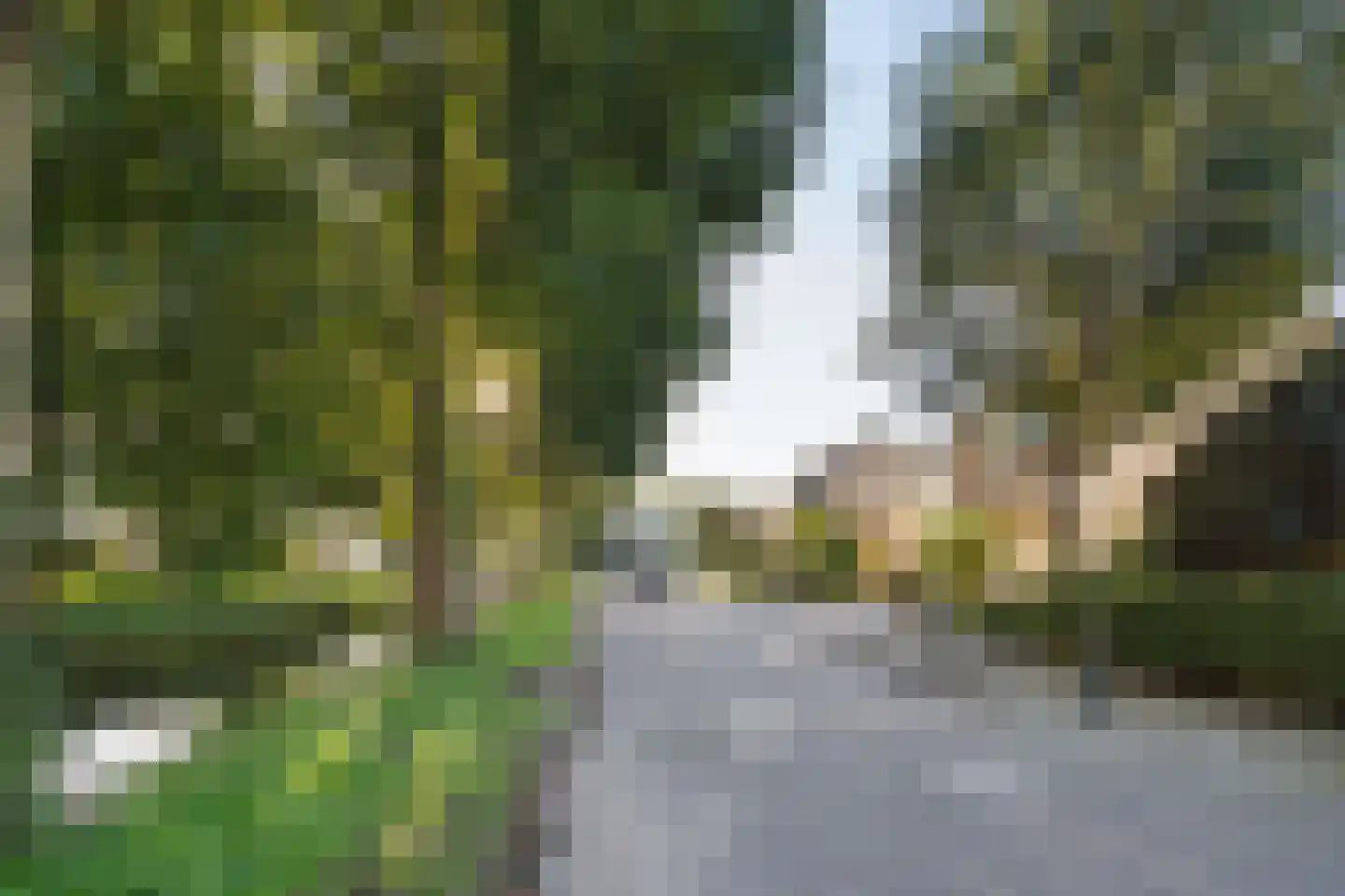 Donkslagen 49 Breda thumbnail 59