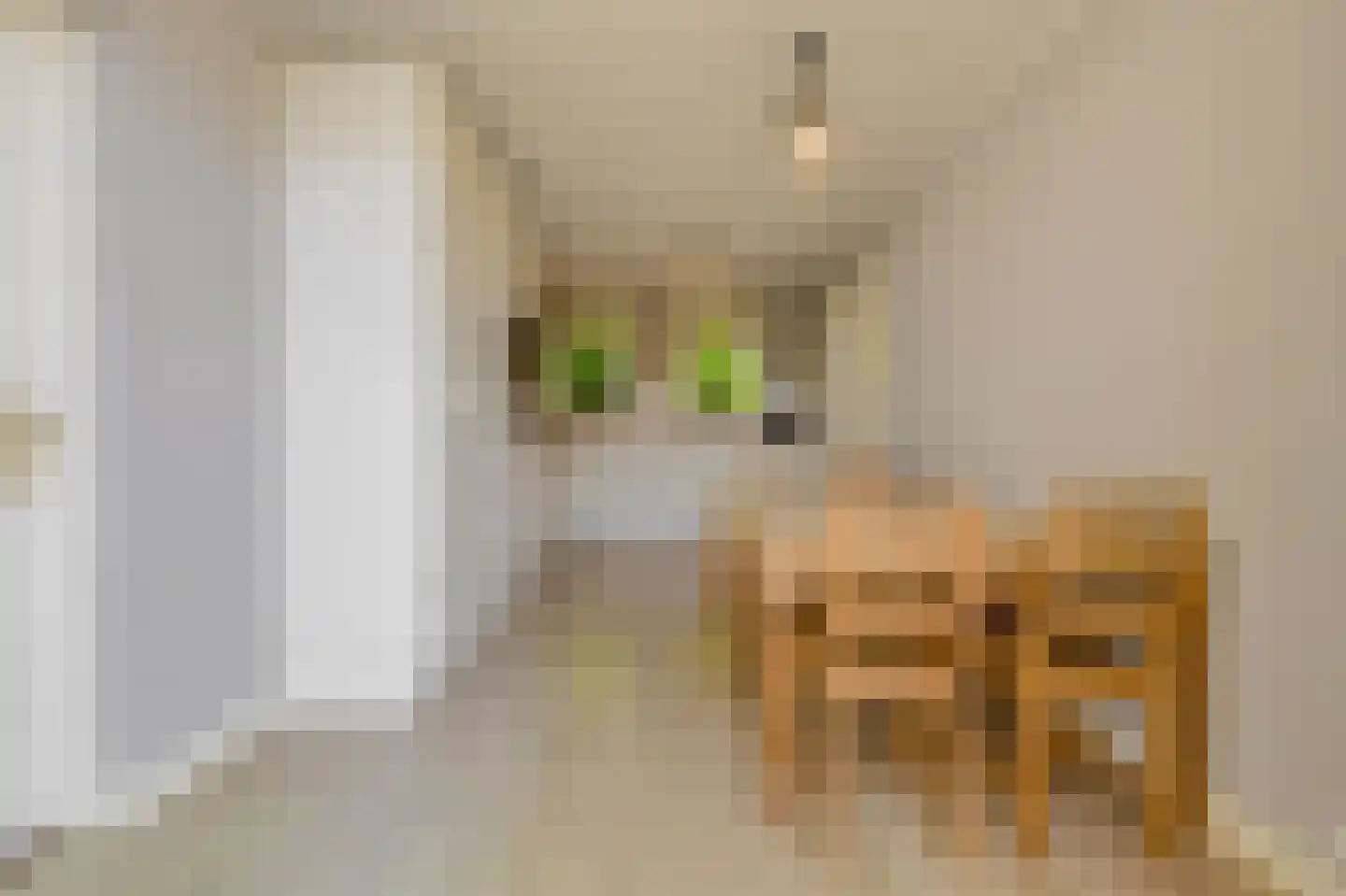 Donkslagen 57 Breda thumbnail 15