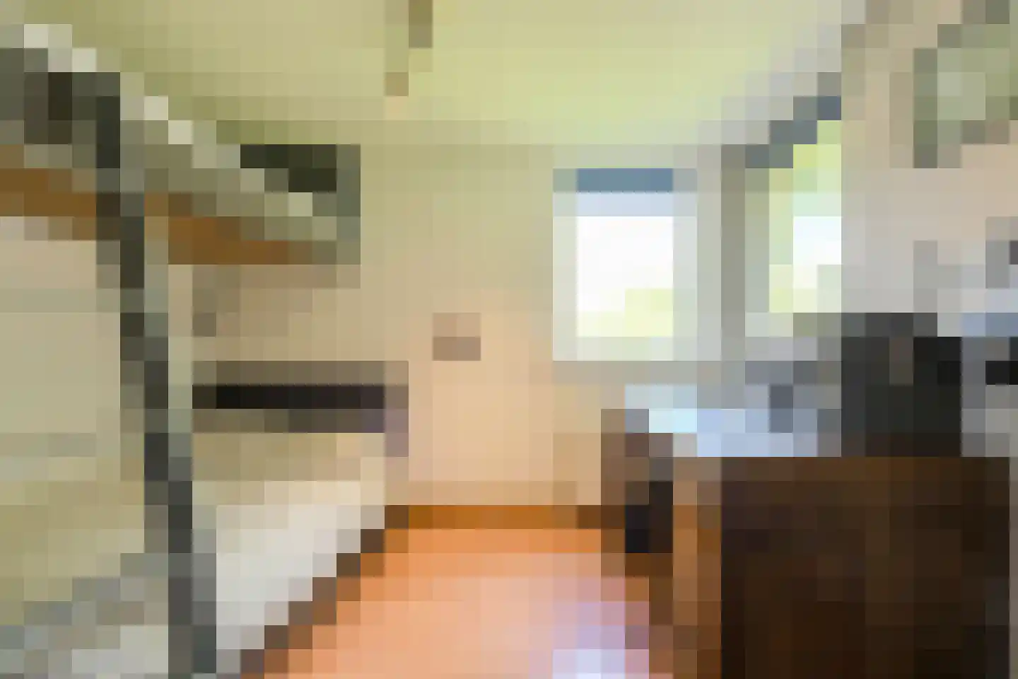 Donkslagen 57 Breda thumbnail 38