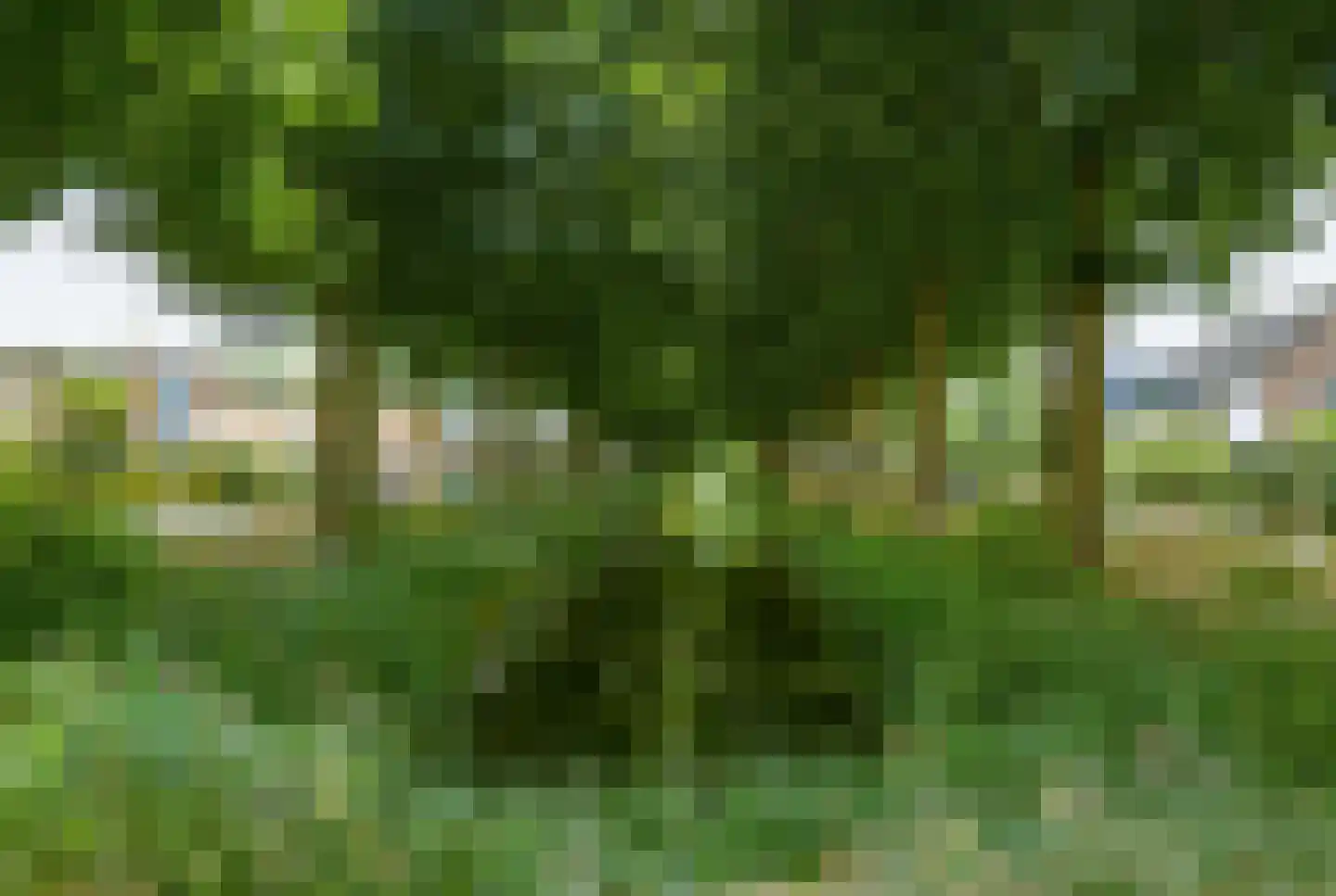 Donkslagen 57 Breda thumbnail 63