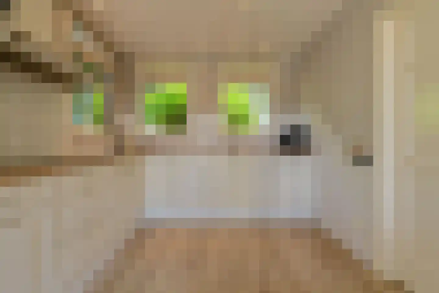 Donkslagen 57 Breda thumbnail 8