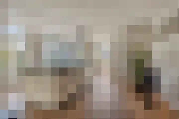 Donkstraat 13 Boekel thumbnail 10