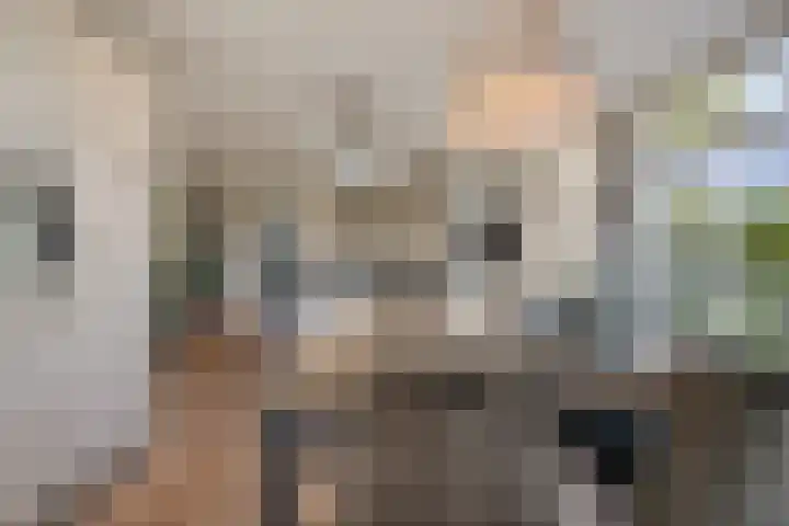 Donkstraat 13 Boekel thumbnail 12
