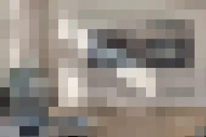 Donkstraat 13 Boekel thumbnail 14