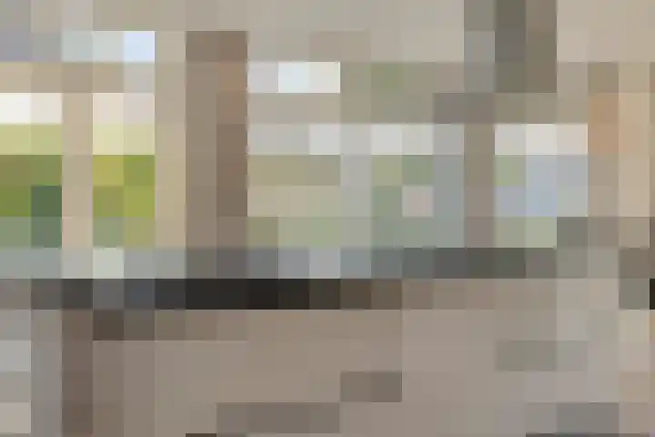 Donkstraat 13 Boekel thumbnail 15
