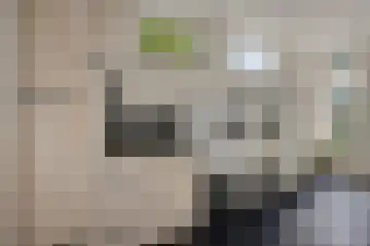 Donkstraat 13 Boekel thumbnail 17
