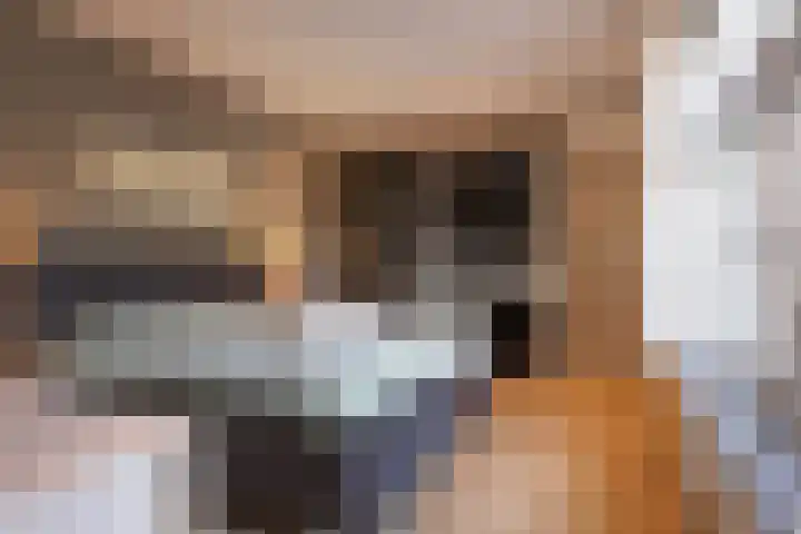 Donkstraat 13 Boekel thumbnail 20