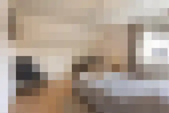 Donkstraat 13 Boekel thumbnail 25