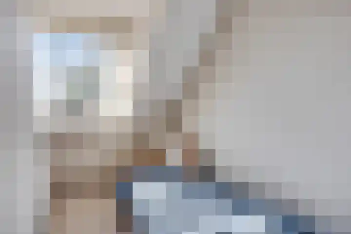 Donkstraat 13 Boekel thumbnail 29