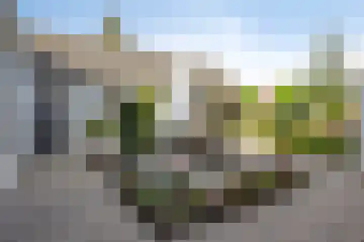 Donkstraat 13 Boekel thumbnail 32