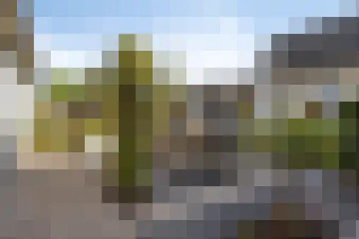 Donkstraat 13 Boekel thumbnail 34