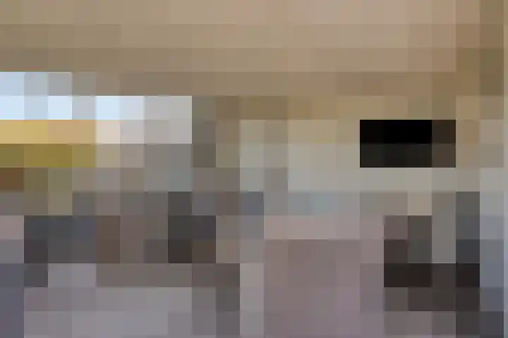 Donkstraat 13 Boekel thumbnail 35
