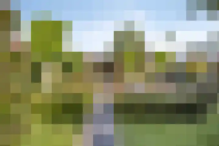 Donkstraat 13 Boekel thumbnail 36