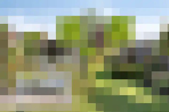 Donkstraat 13 Boekel thumbnail 37