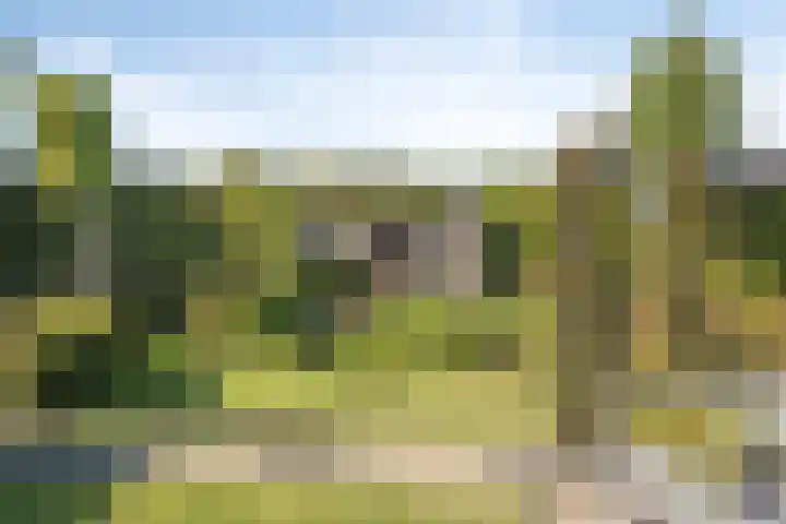 Donkstraat 13 Boekel thumbnail 38