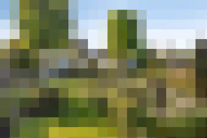 Donkstraat 13 Boekel thumbnail 39
