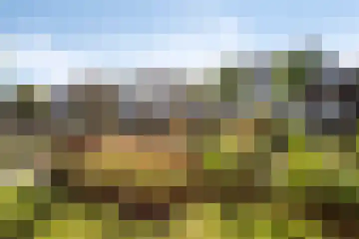Donkstraat 13 Boekel thumbnail 40