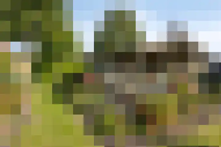 Donkstraat 13 Boekel thumbnail 41