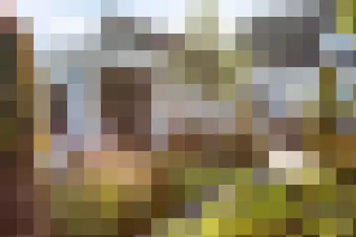 Donkstraat 13 Boekel thumbnail 43