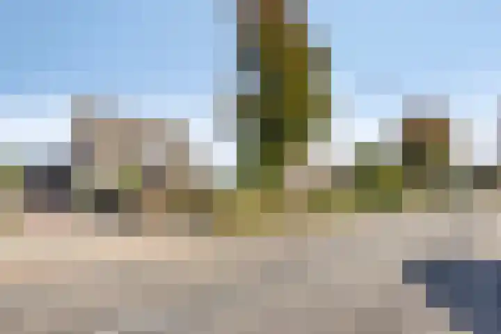 Donkstraat 13 Boekel thumbnail 46
