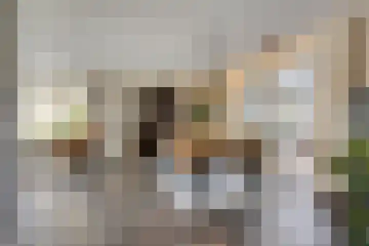 Donkstraat 13 Boekel thumbnail 8