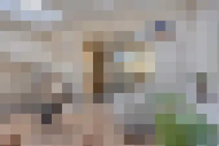 Donkstraat 13 Boekel thumbnail 9