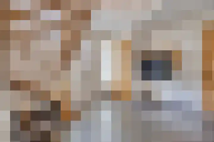 Donkstraat 2 c Meterik thumbnail 13
